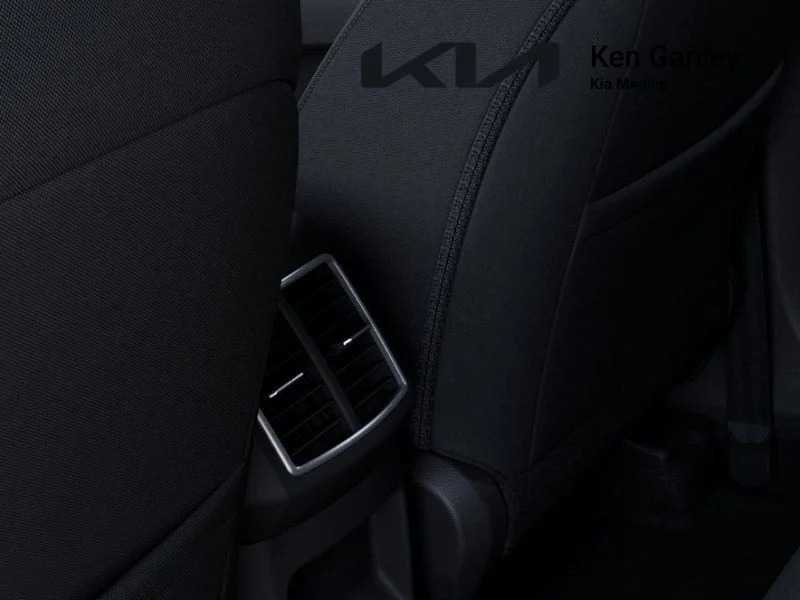 New 2026 Panthera Metal Kia LX image 26