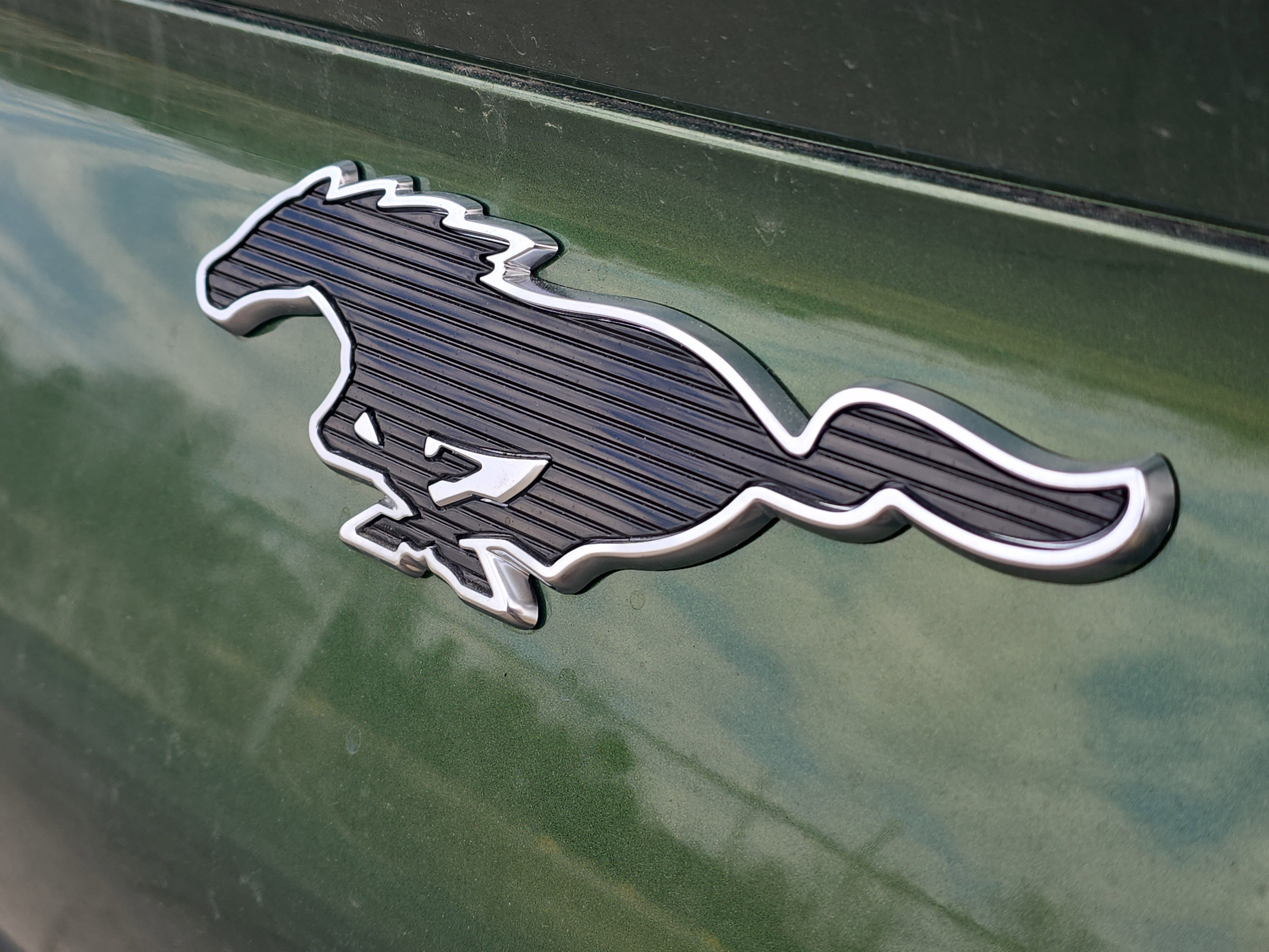 New 2026 Eruption Green Metallic Ford Premium image 6