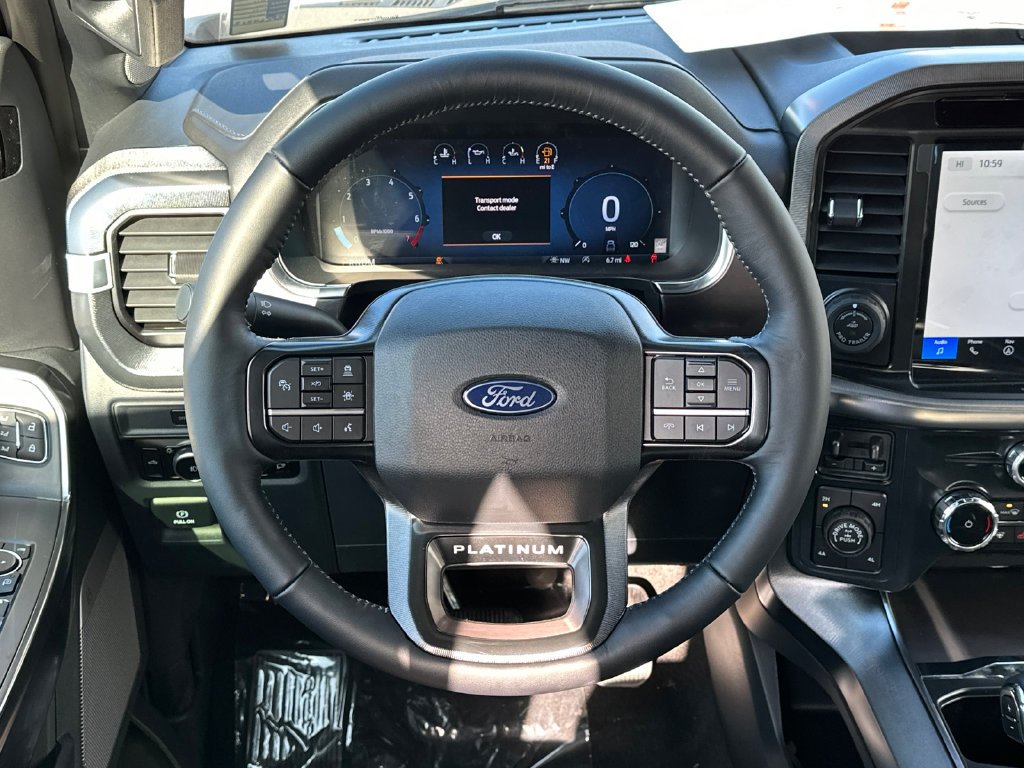 New 2025 White Ford Platinum image 23