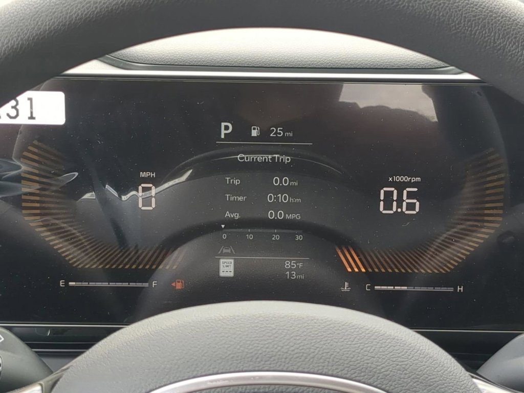 New 2026 Panthera Metal Kia LX image 30