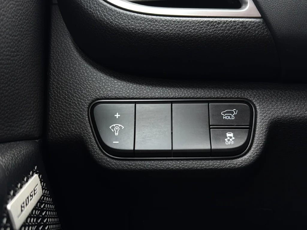 Used 2024 Pluton Blue Kia SX image 17