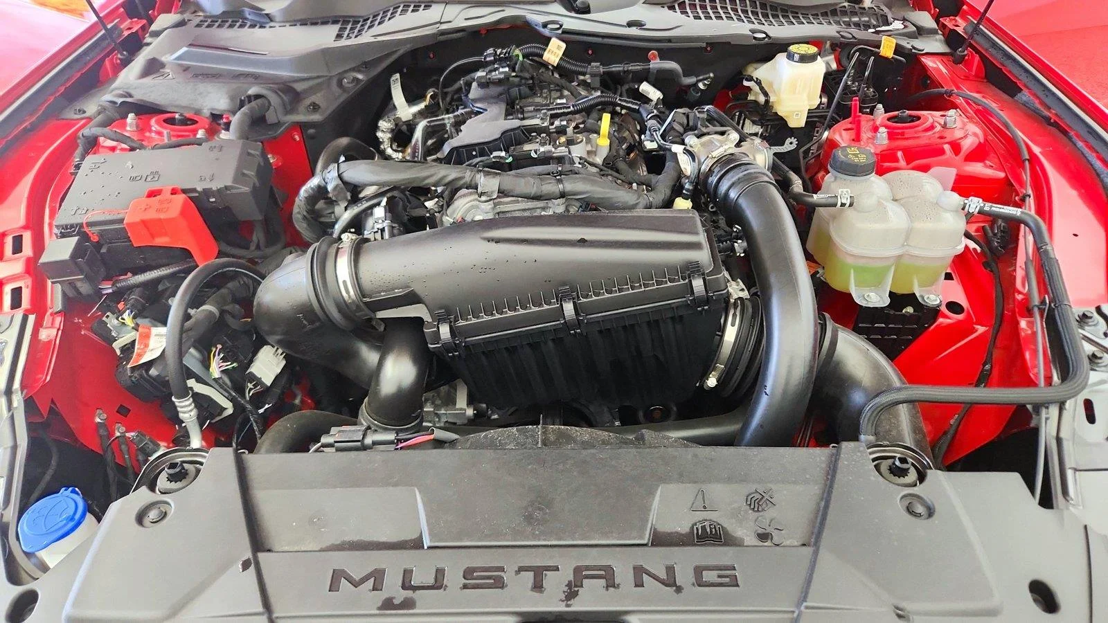 Used 2025 Race Red Ford EcoBoost image 36