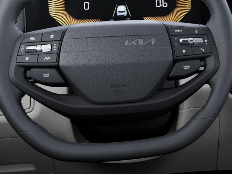 New 2026 Panthera Metal Kia EX image 22