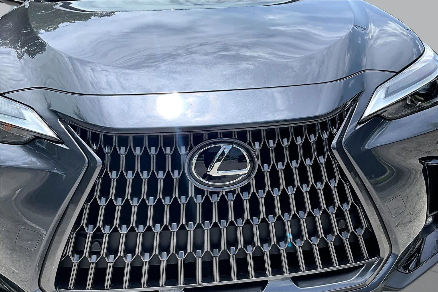 Used 2024 Cloudburst Gray Lexus Premium image 30