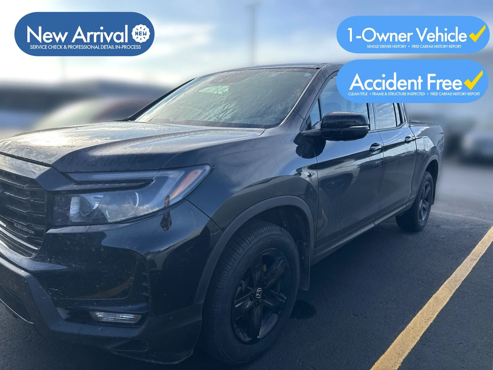 Used 2021 Black Honda Black Edition image 1