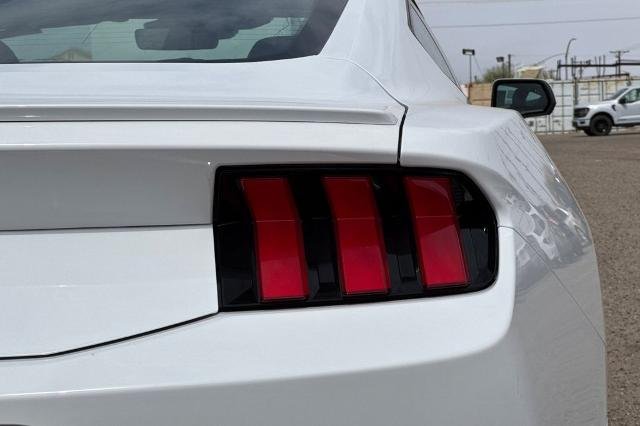 2025 Ford Mustang EcoBoost Premium Fastback - Photo 20