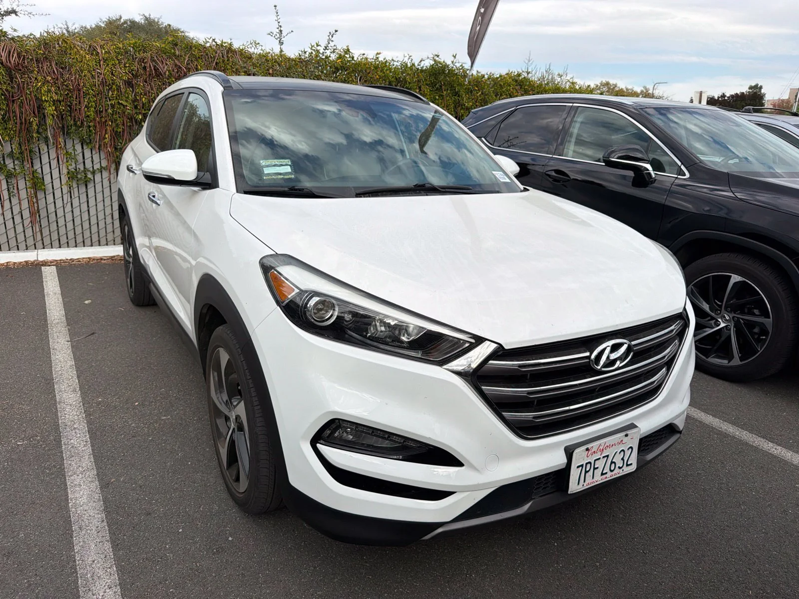 Used 2016 Hyundai Tucson Limited with VIN KM8J33A28GU098626 for sale in Concord, CA