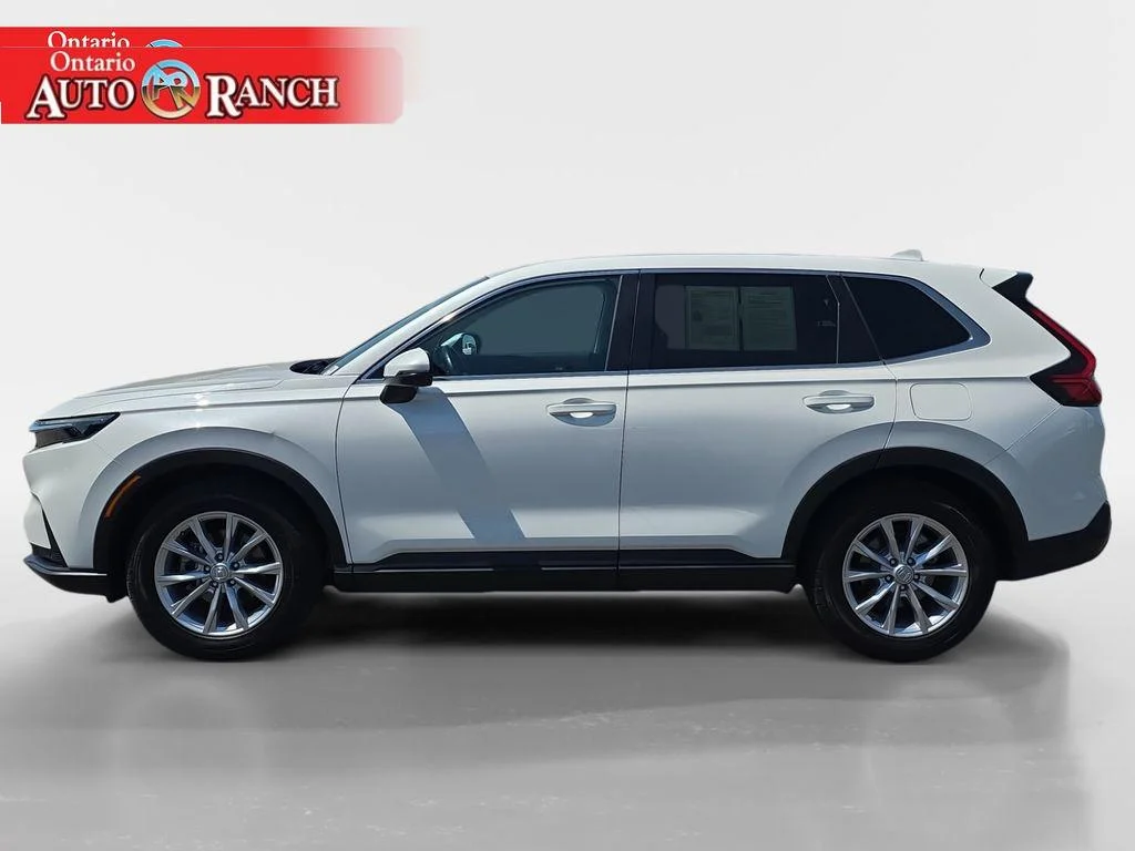 Used 2025 WHITE Honda EX-L image 2
