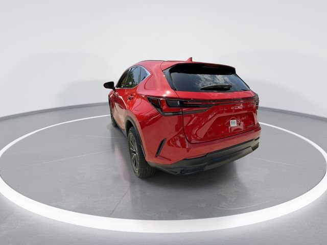 2024 Lexus NX 250 - Photo 6