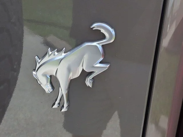New 2026 Gray Ford Base image 13
