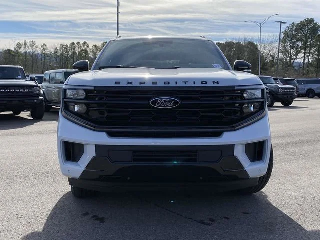 New 2026 Silver Ford Platinum image 21