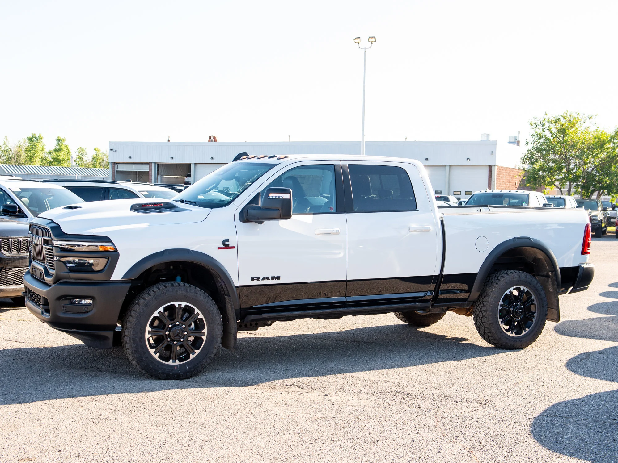 New 2026 White RAM Rebel* image 5