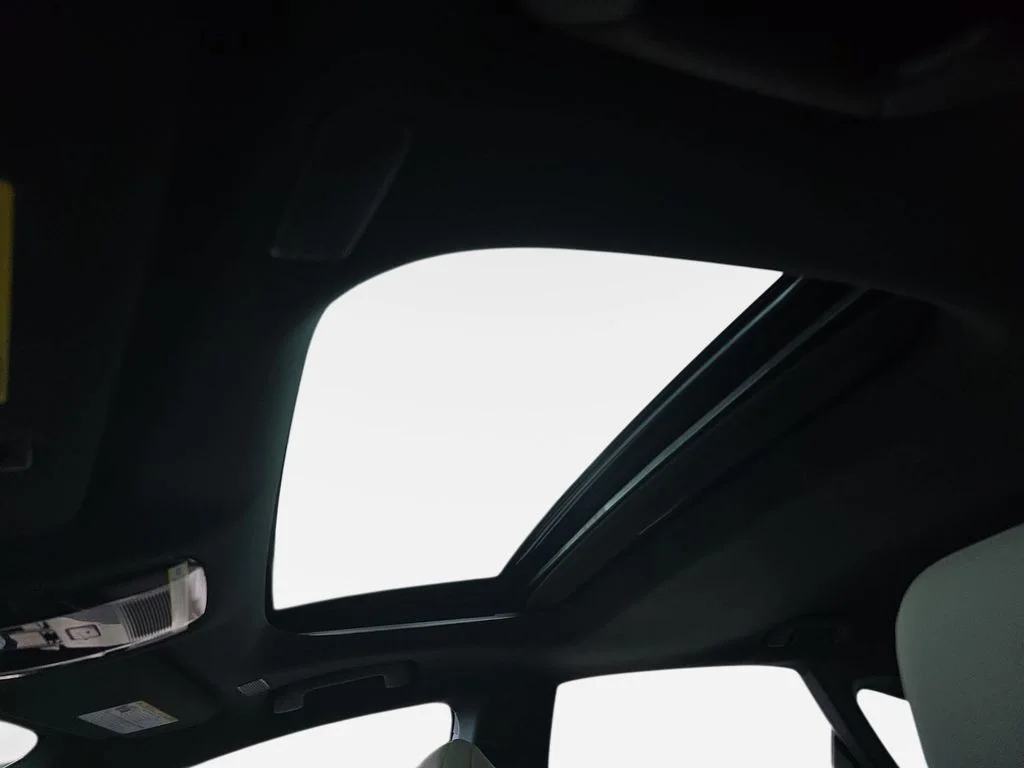 New 2026 Caviar Lexus PREMIUM image 28