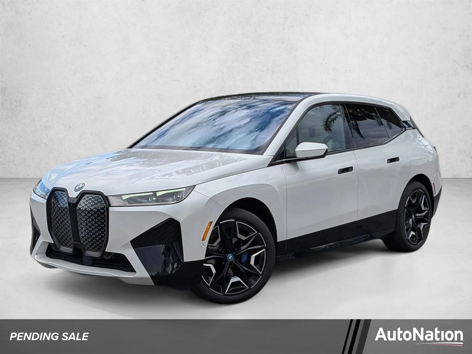 2024 BMW iX