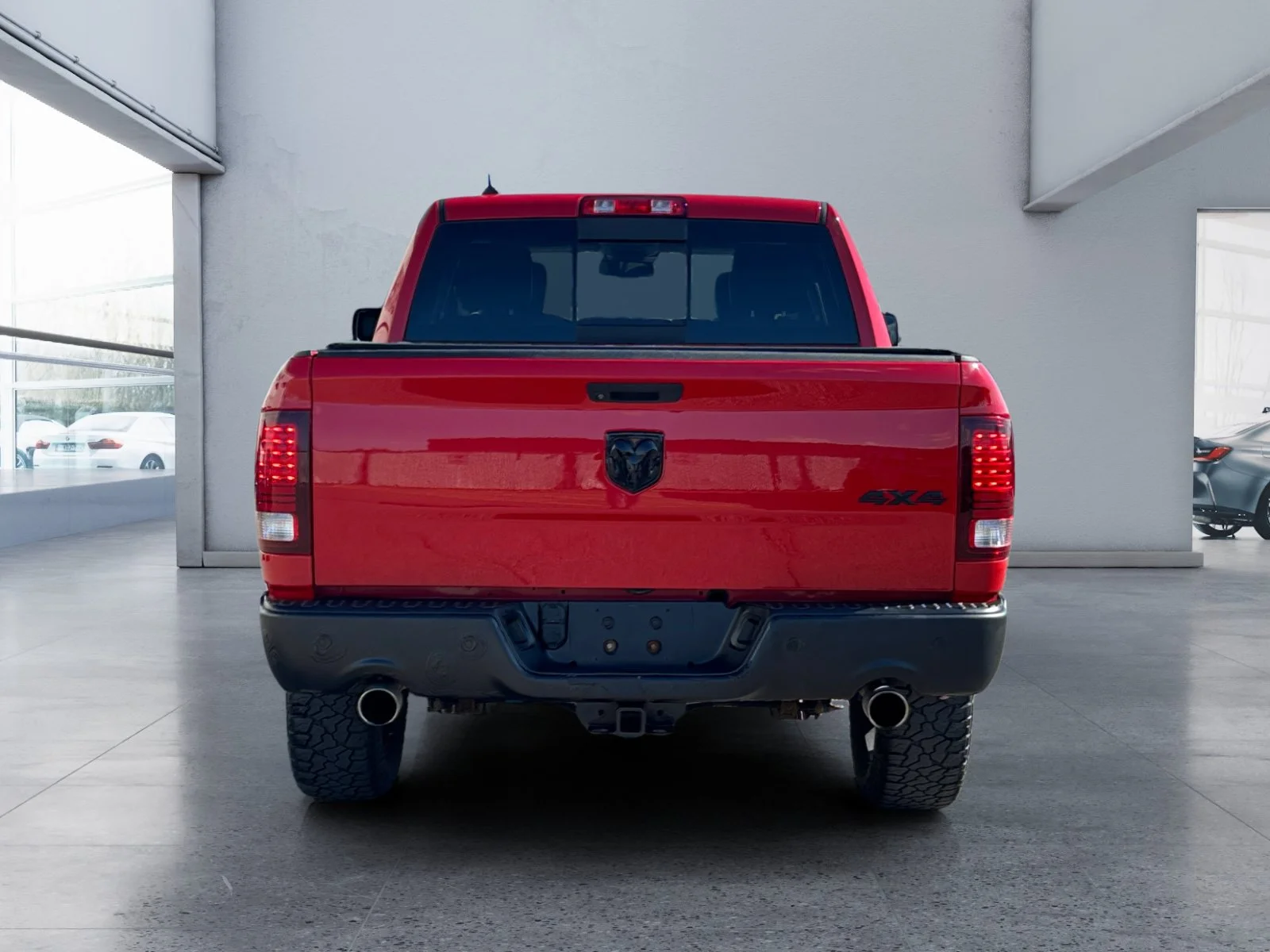 Used 2019 Red Ram Warlock image 4