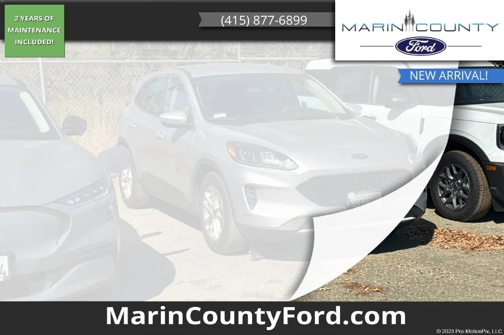 Used 2020 Silver Ford SE image 1