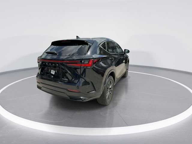 2025 Lexus NX 250 - Photo 7