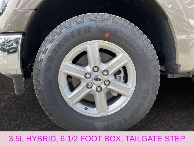 New 2026 Gray Ford XLT image 14