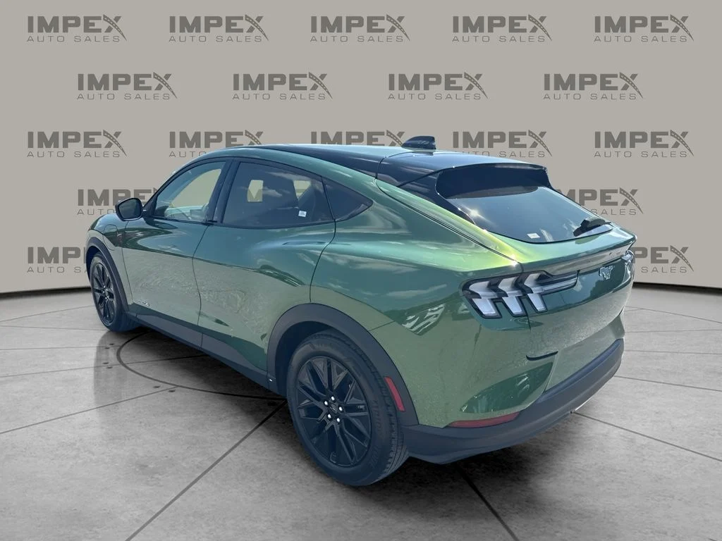Used 2025 Green Ford Select image 2