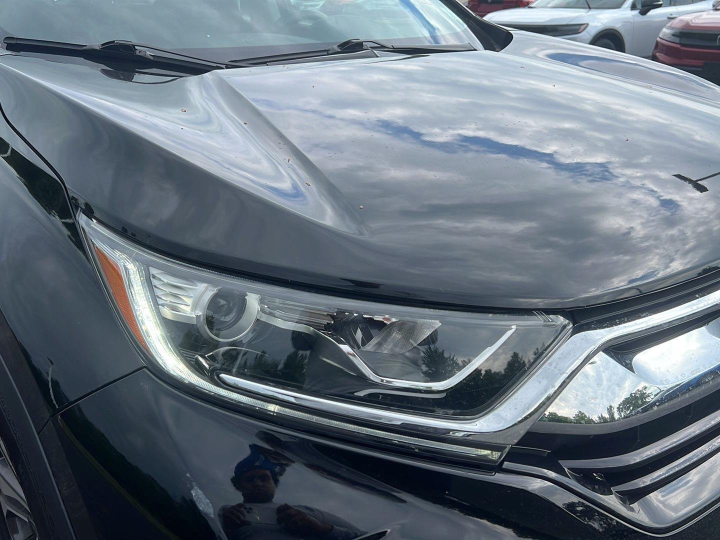 Used 2019 Crystal Black Pearl Honda LX image 20