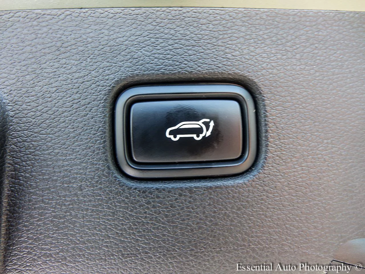 Used 2024 Jungle Green Kia X-Line image 23