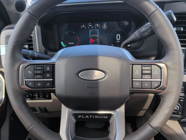New 2027 Gray Ford Platinum image 29