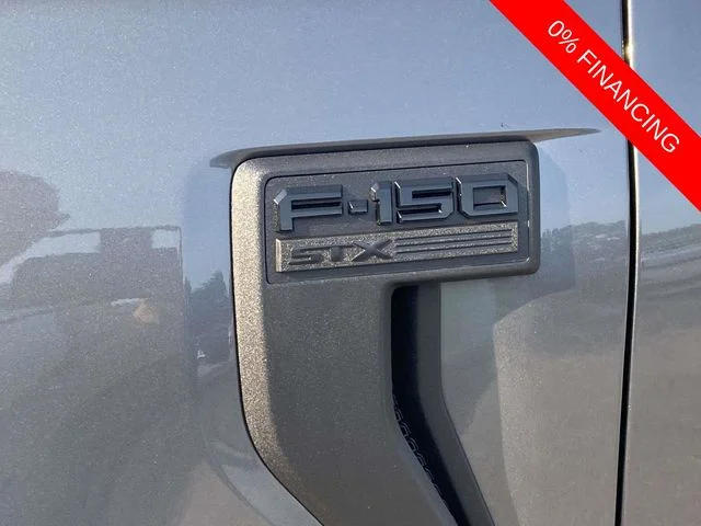 New 2026 Gray Ford STX image 6
