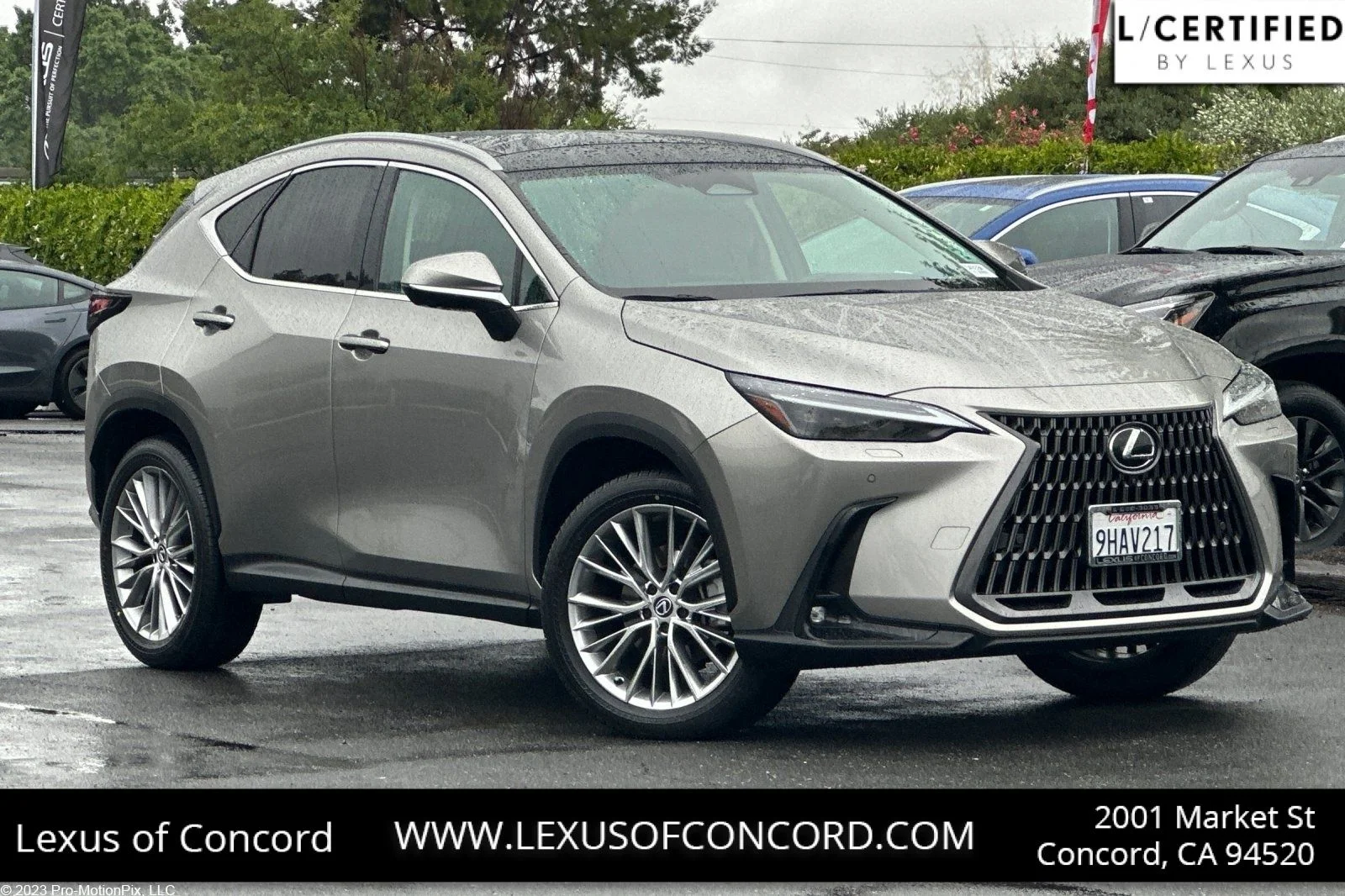 2024 Lexus NX 350 350 Luxury AWD's photo