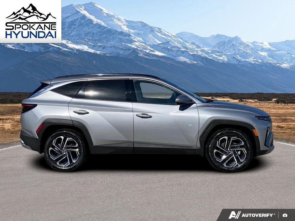 New 2026 Shimmering Silver Hyundai Limited image 7