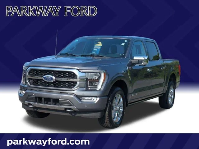 Used 2023 Gray Ford Platinum image 1