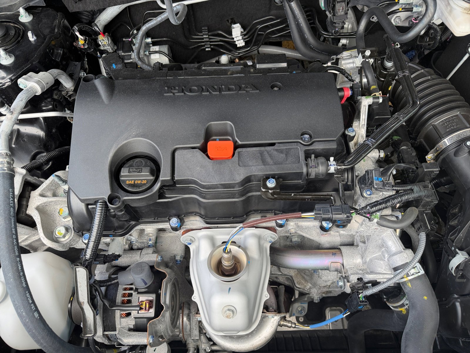 Used 2025 Crystal Black Pearl Honda Sport image 7