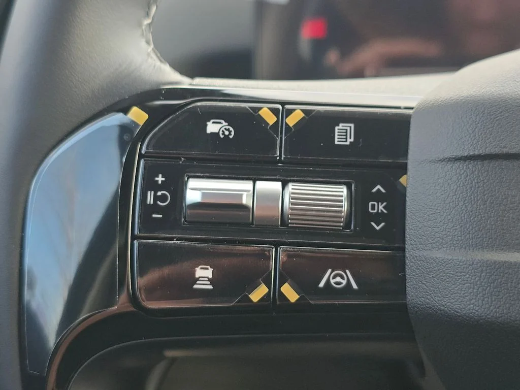 New 2026 Panthera Metal Kia S image 26