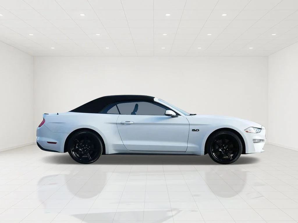 Certified 2019 Ford Mustang GT Premium with VIN 1FATP8FF0K5148101 for sale in White Bear Lake, Minnesota