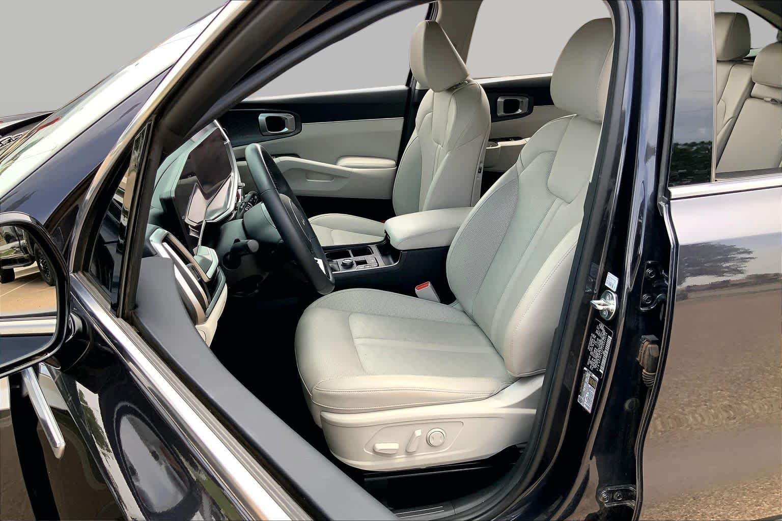 Used 2025 Panthera Metal Kia S image 8