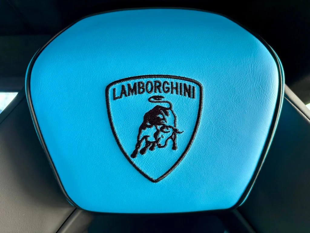 Used 2025 Black Lamborghini  image 24