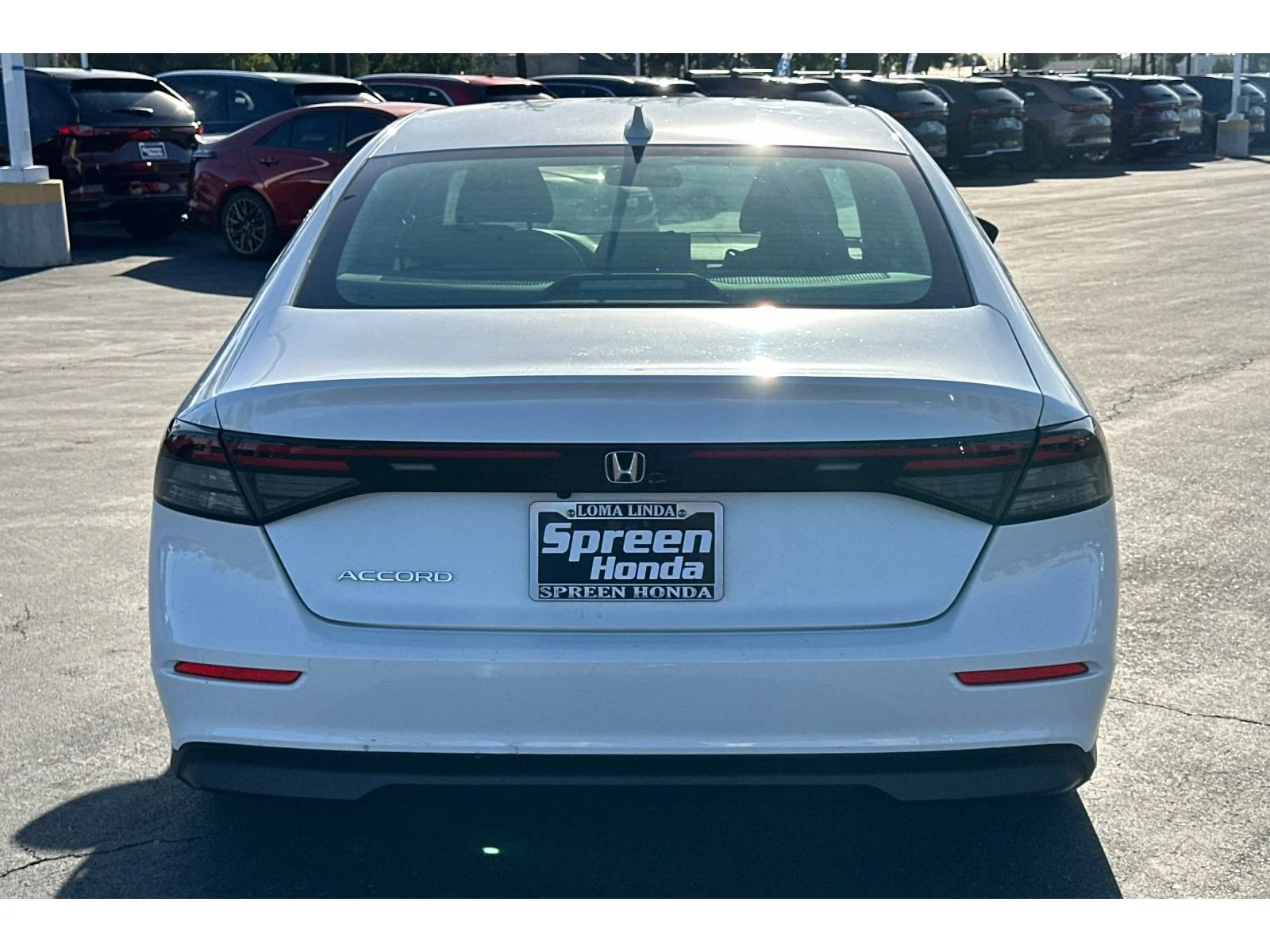 Used 2024 Platinum White Pearl Honda LX image 4