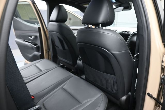 Used 2023 Beige Hyundai Limited image 14