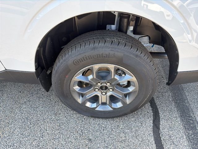 New 2026 Oxford White Ford XLT image 10