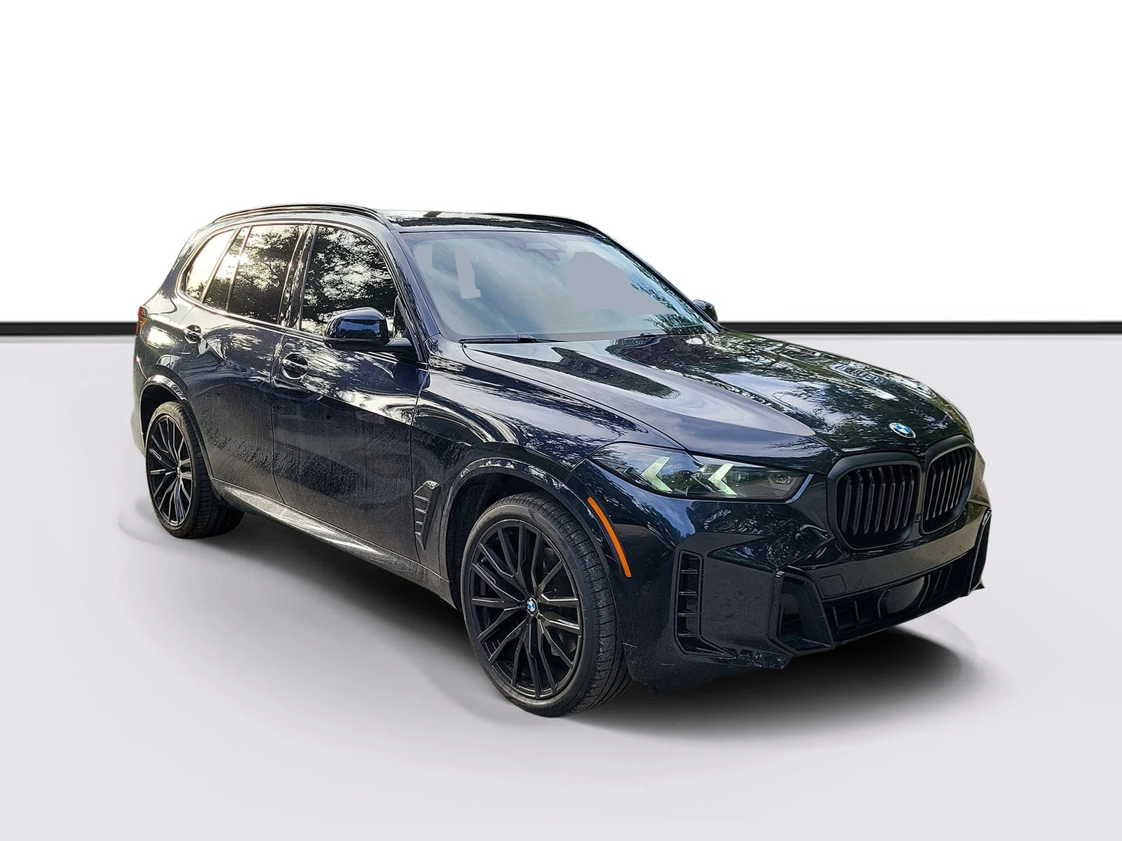 2024 BMW X5