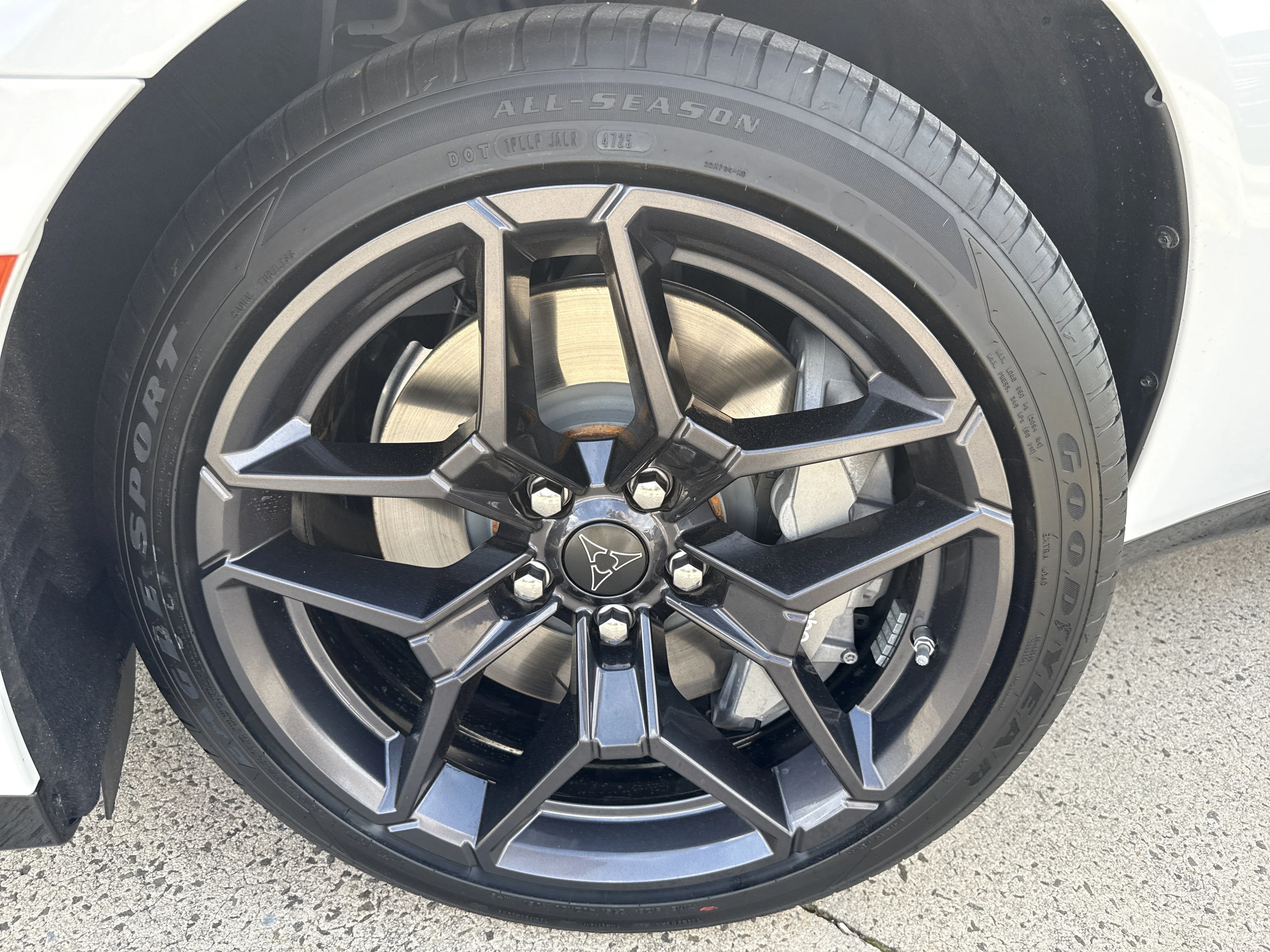 New 2026 White Knuckle Dodge Scat Pack Plus image 12