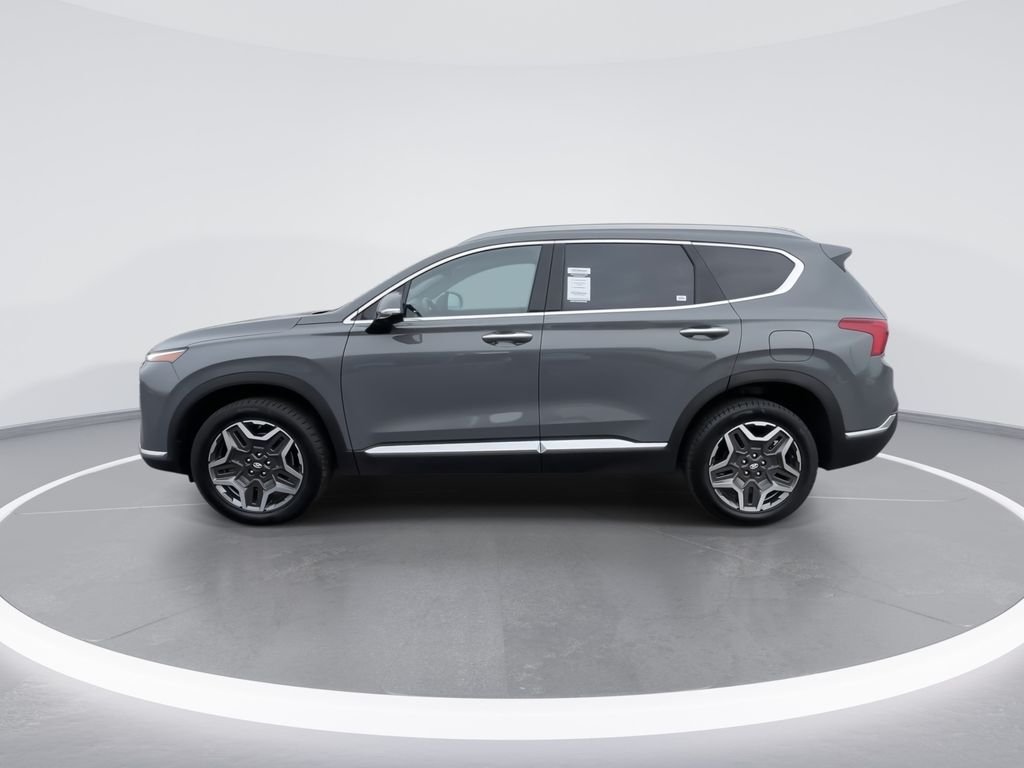 Used 2023 Hampton Gray Hyundai Limited image 5