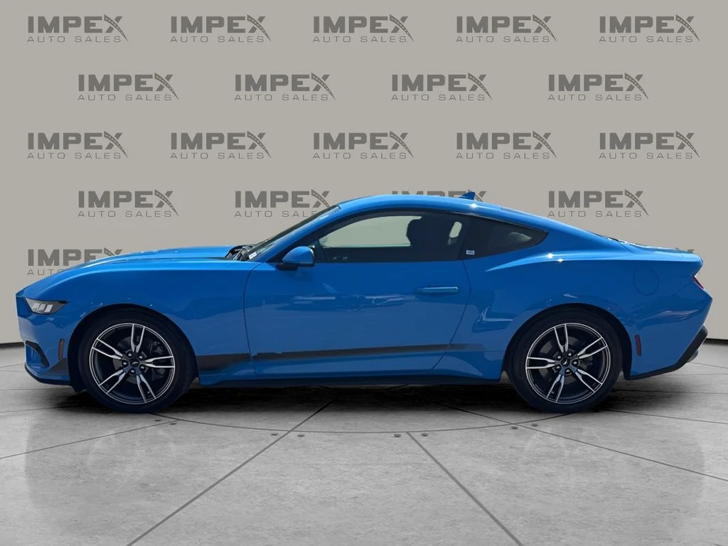 Used 2024 Blue Ford EcoBoost image 2