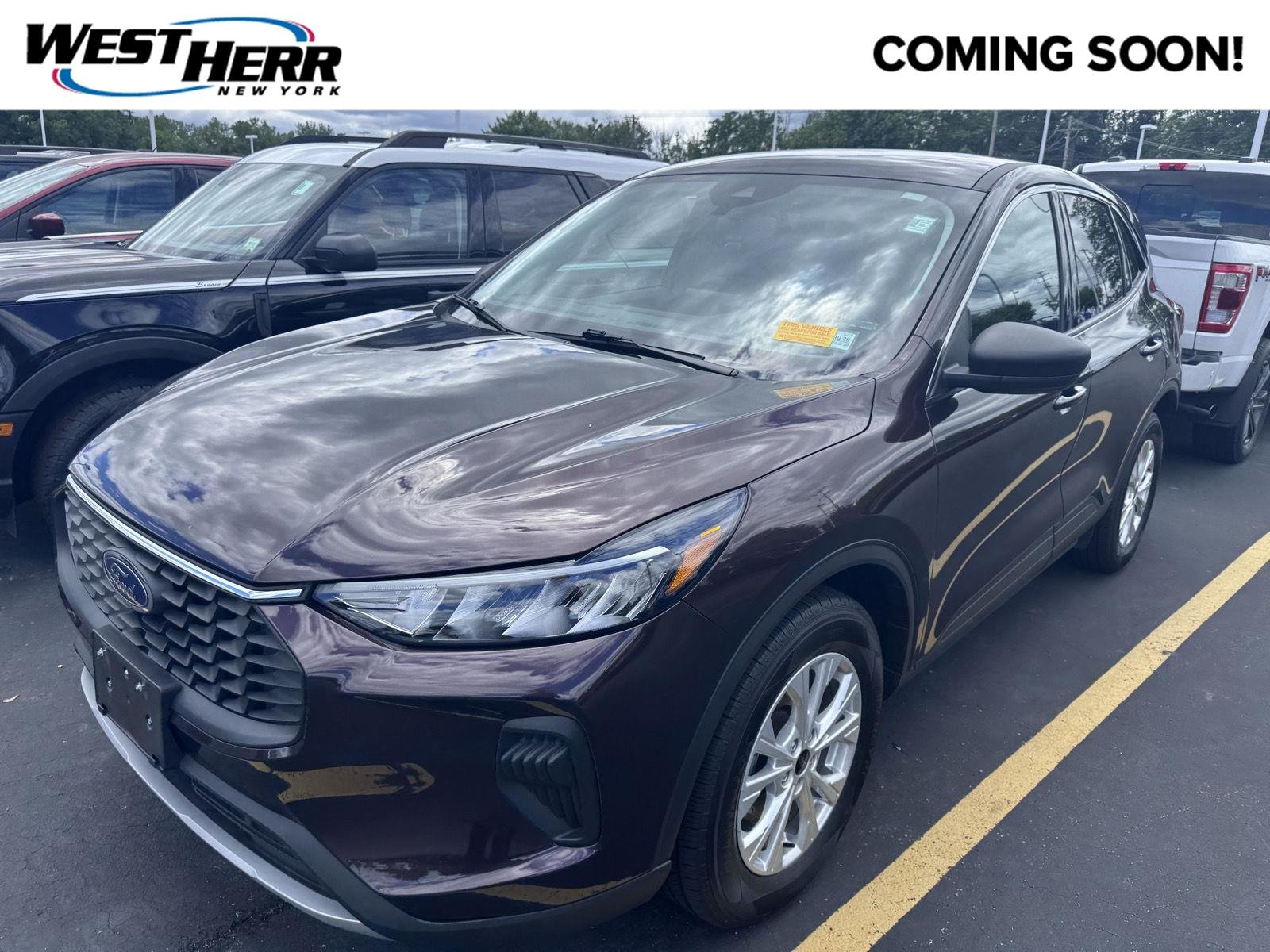 Used 2023 Cinnabar Red Ford Active image 1