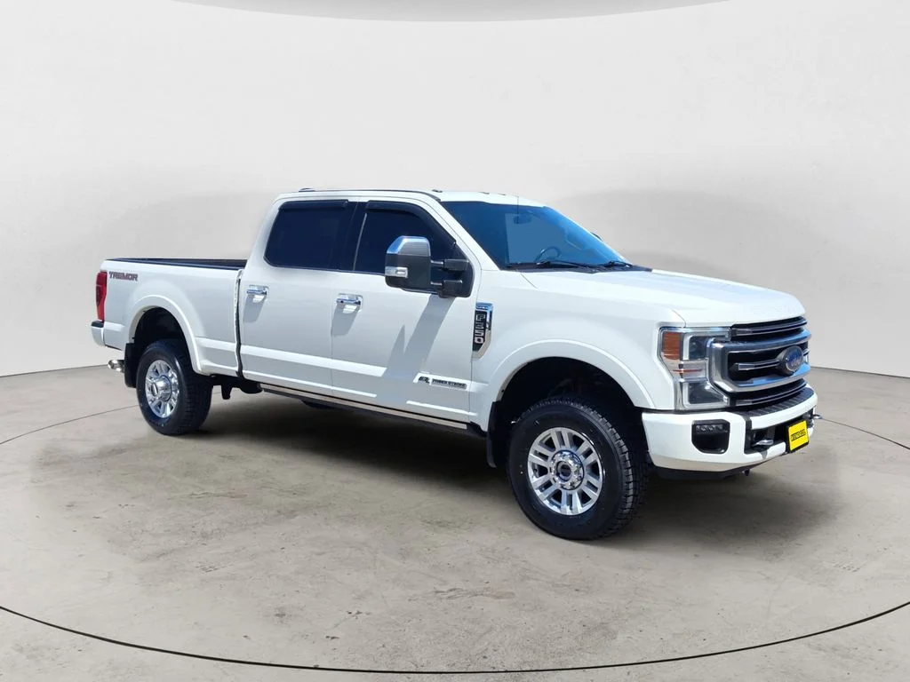 Used 2020 White Ford Platinum image 7