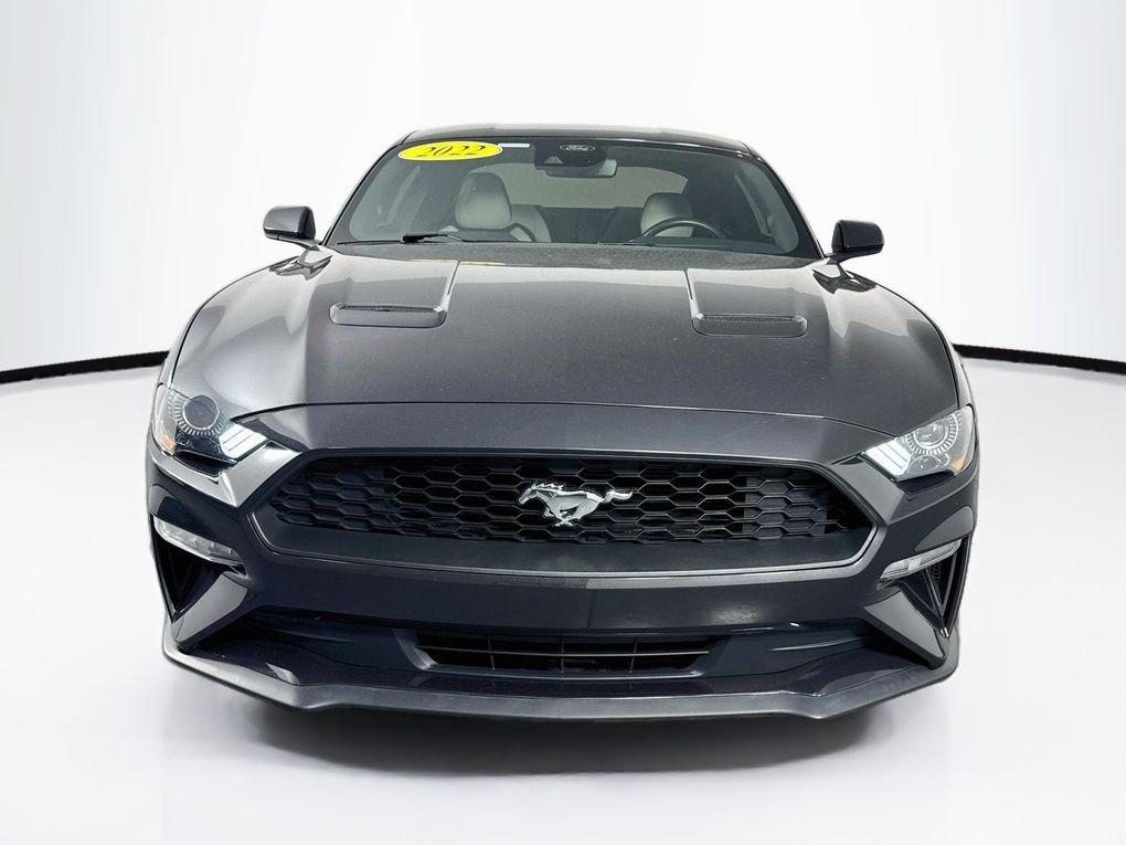 Used 2022 Gray Ford EcoBoost Premium image 2