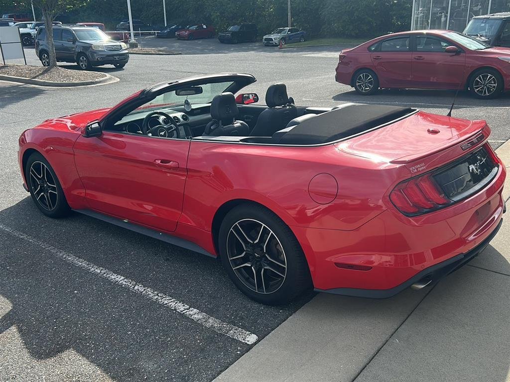 Used 2019 Race Red Ford EcoBoost Premium image 11