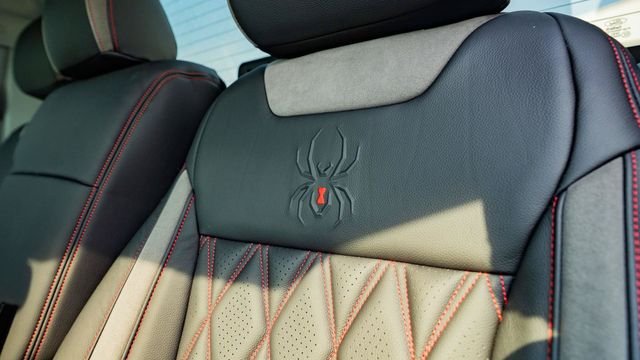 Used 2025 Black Ford Black Widow image 31
