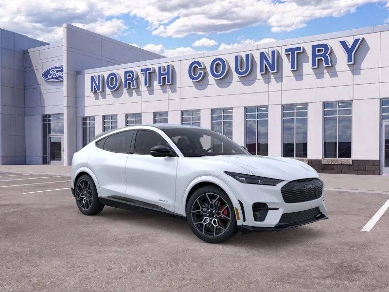 2025 Ford Mustang Mach-E GT - Photo 32