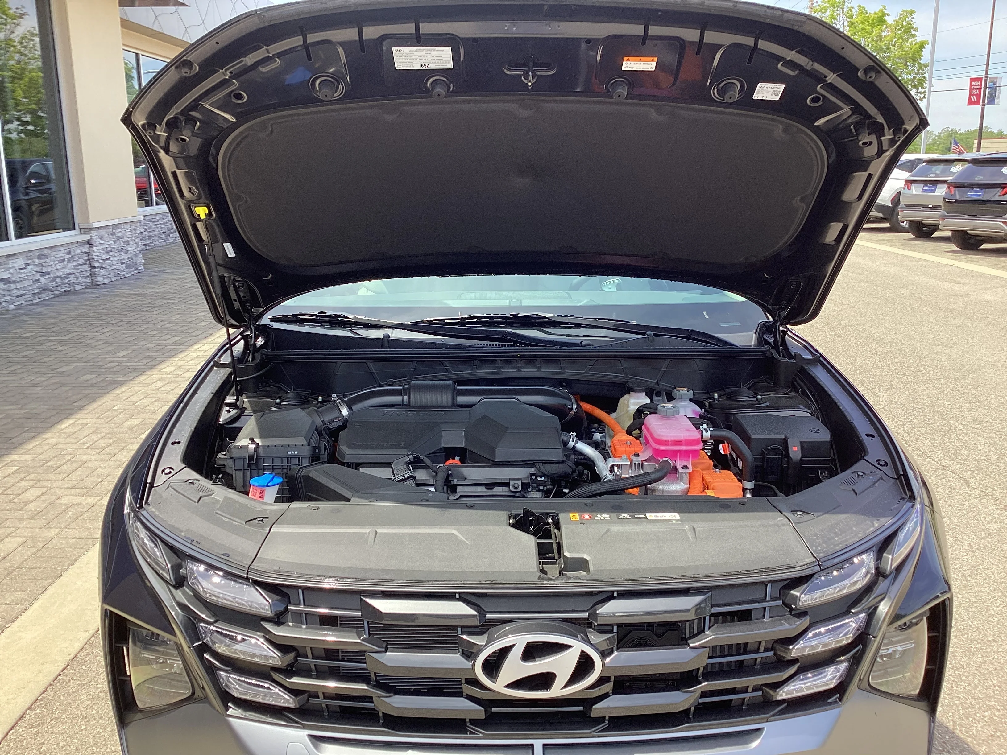New 2026 Deep Sea Metallic Hyundai Blue SE image 12