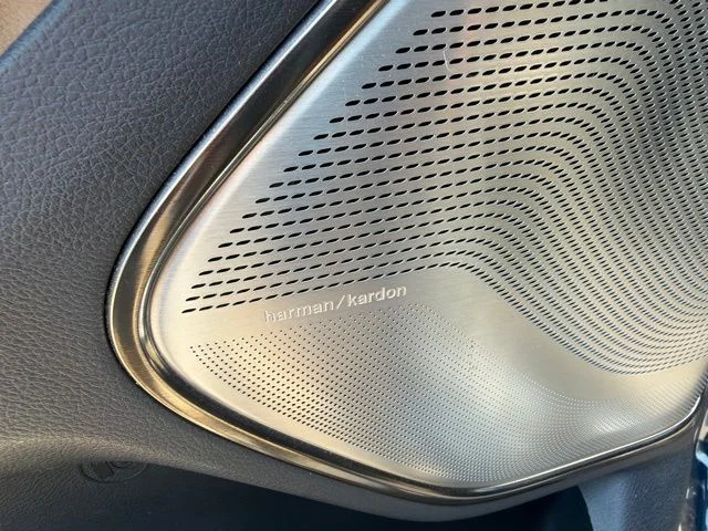 Used 2019 Blue Ram Limited image 14